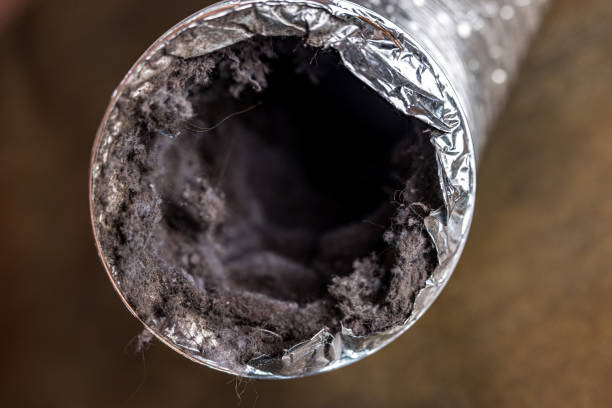 Best Local Air Duct Cleaning Services  in Newtown, PA